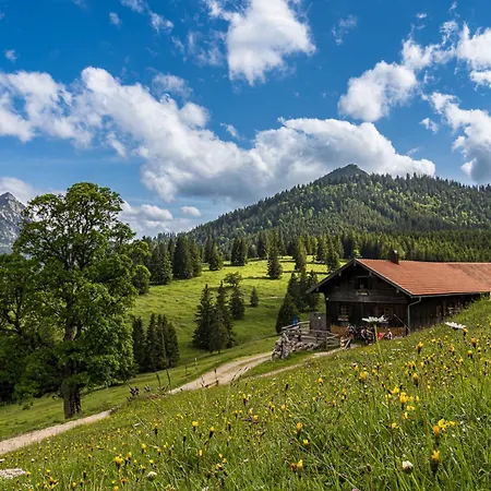 Armonie Im Allgaeu - Tischfussball & Dart, Grosser Suedbalkon, Gratis Erlebnisse Mit Koenigscard Апартаменты Нессельванг